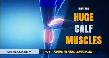 Unleashing the Power: A Deep Dive into Huge Calf Muscles