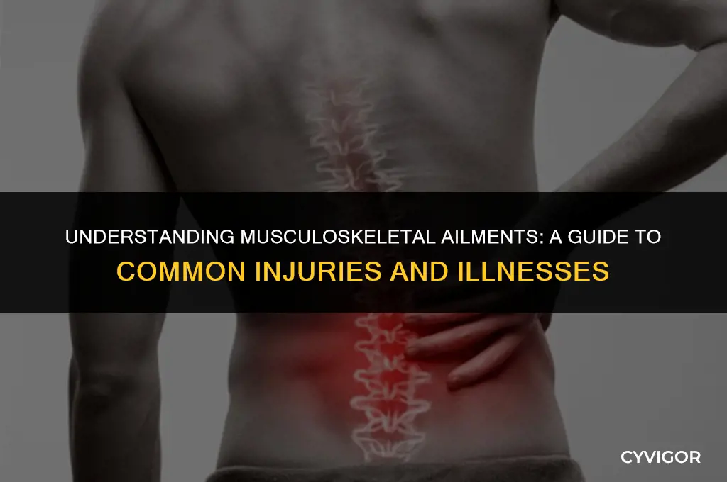 what are injuries or illnesses that affect your muscles