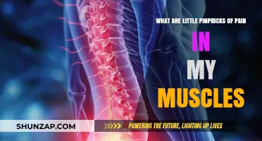 Understanding Tiny Muscle Pinpricks: Causes, Remedies, and When to Worry