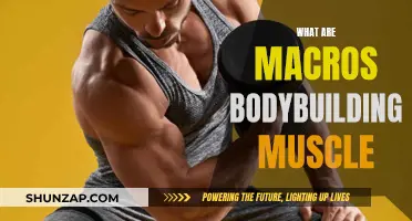 Macros for Muscle: The Ultimate Guide