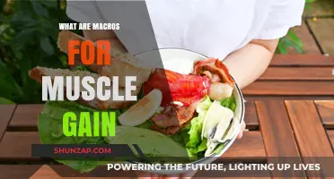 Maximize Muscle Growth: Understanding Macros for Effective Bodybuilding