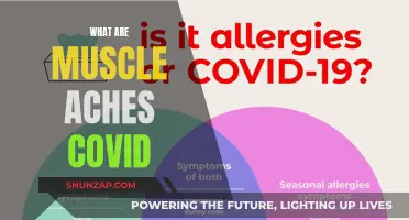 Muscle Aches: A Symptom of COVID-19