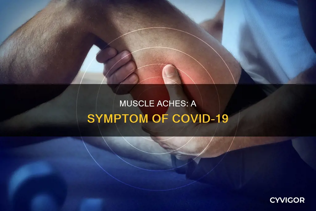 what are muscle aches covid
