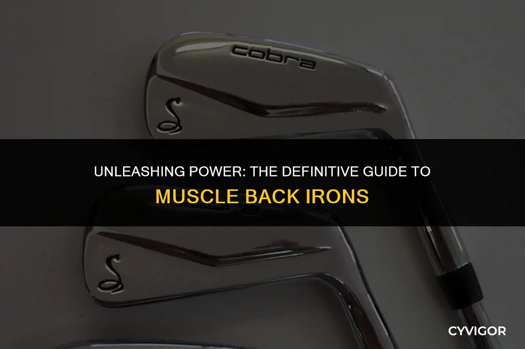 what are muscle back irons