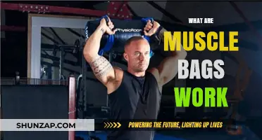 Understanding Muscle Bags: Function, Benefits, and Effective Workout Techniques