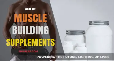 Unlocking Strength: A Guide to Muscle Building Supplements
