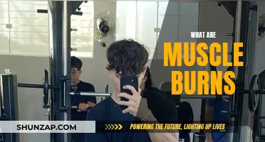 Muscle Burns: Understanding the Science of Muscle Metabolism