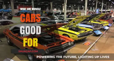 Unleashing Power: The Surprising Versatility of Muscle Cars