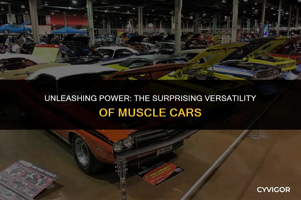 what are muscle cars good for