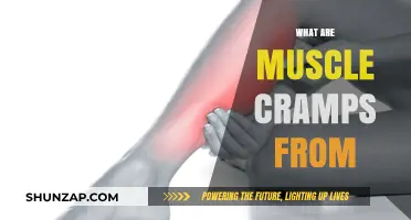 Unraveling the Mystery: What Causes Muscle Cramps?