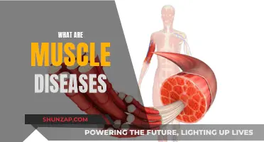 Understanding Muscle Diseases: Causes, Symptoms, and Treatments