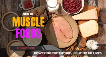 Muscle-Building Foods: Fueling Your Body for Growth