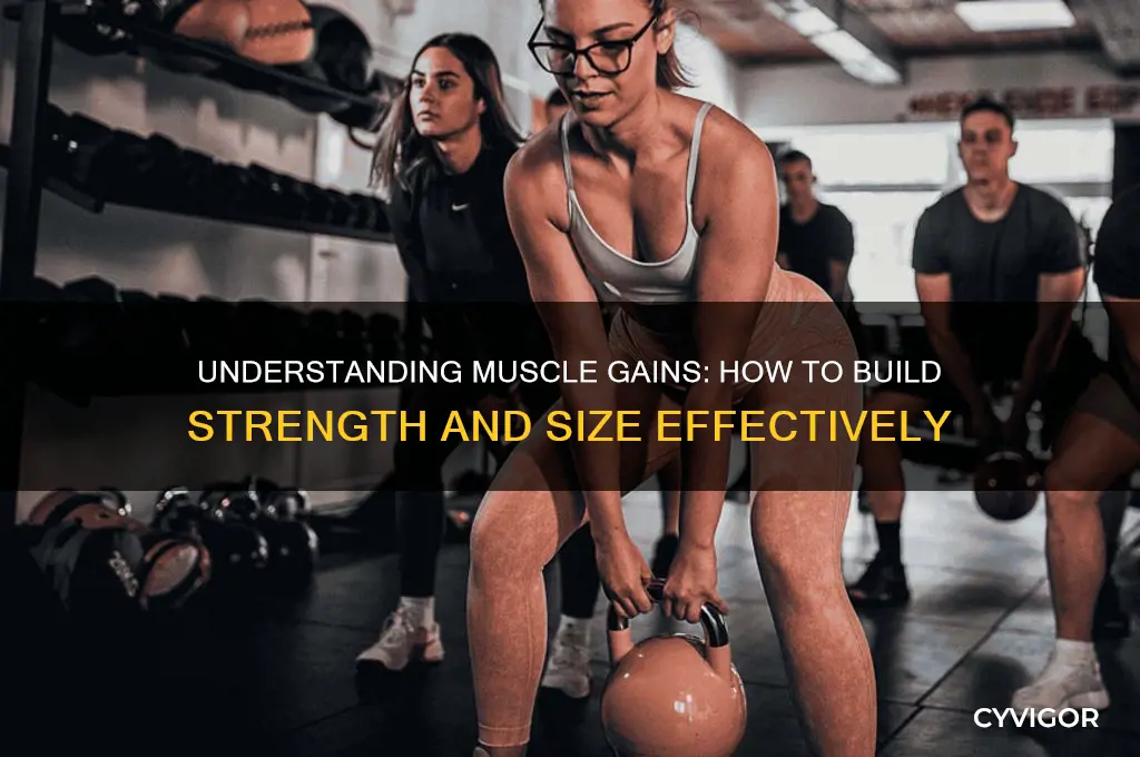 what are muscle gains