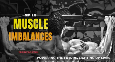 Muscle Imbalances: Understanding the Body's Unseen Problem