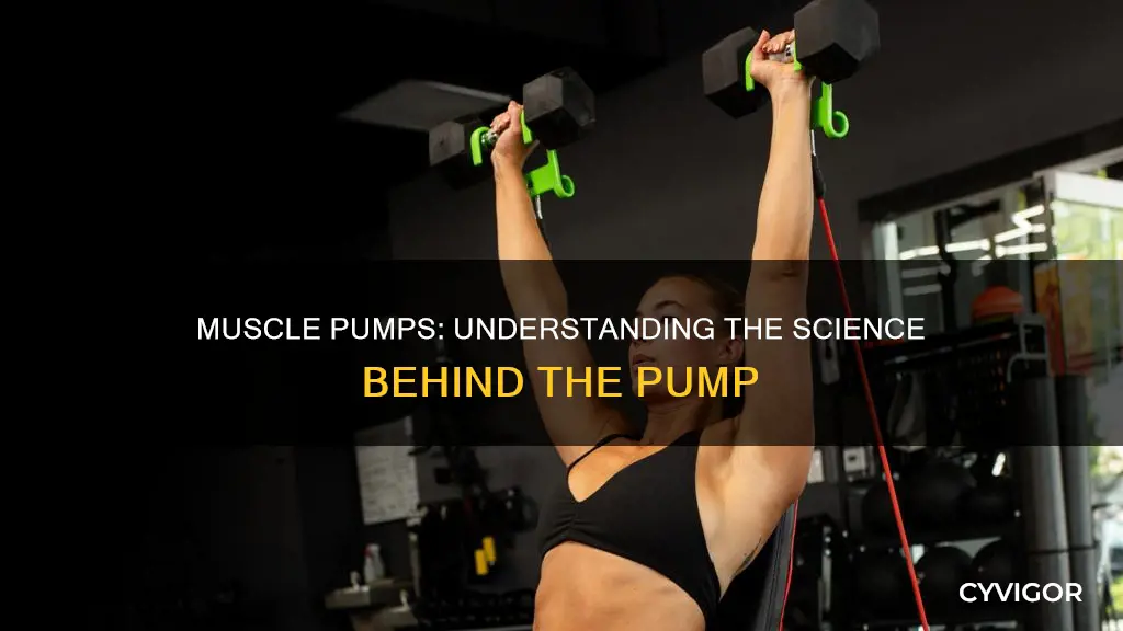 what are muscle pumps
