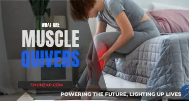 Understanding Muscle Quivers: Causes and Treatment