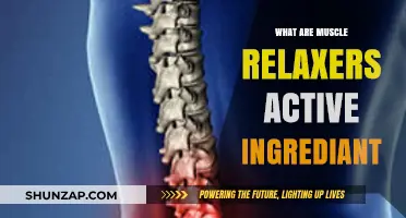 Unveiling Muscle Relaxers: Key Active Ingredients and Their Functions