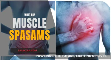 Understanding Muscle Spasms: Causes and Treatment Options