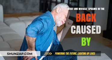 Back Muscle Spasms: What's Behind Them?