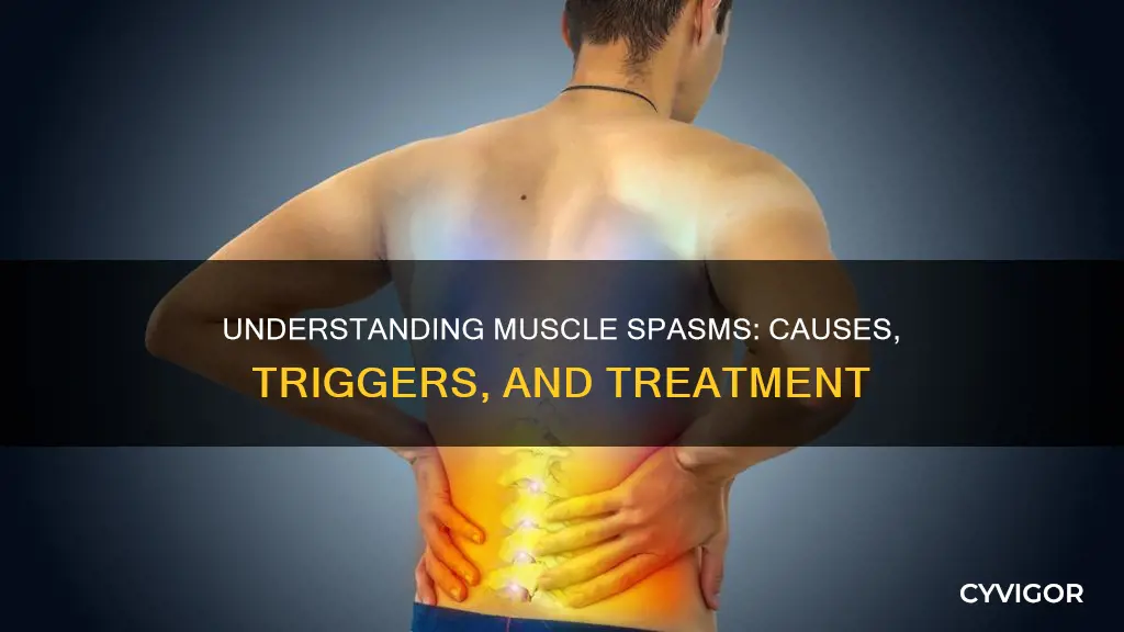 what are muscle spasmz