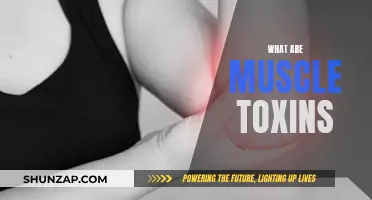 Muscle Toxins: Understanding Their Impact and Presence