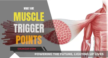 Muscle Trigger Points: Understanding These Painful Knots