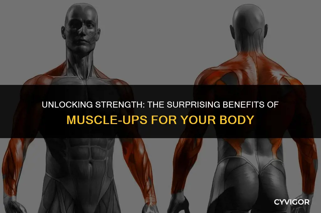 what are muscle ups good for