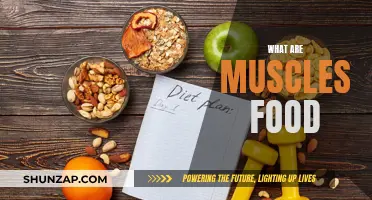 Muscle-Building Foods: Fueling Your Body for Growth