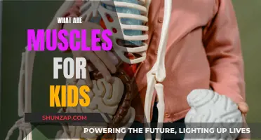 How Muscles Help Us Move and Play