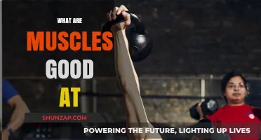Unleashing the Power: What Muscles Excel At