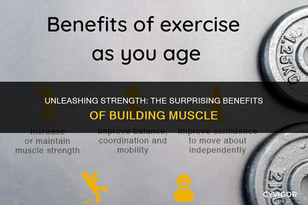 what are muscles good for