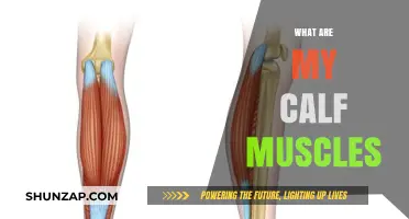 Understanding Your Calf Muscles: Anatomy, Function, and Care