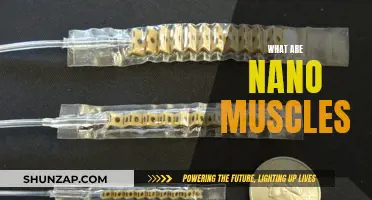 The Future of Robotics: Nano Muscles