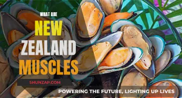 The Green-Lipped Mussels of New Zealand: Superfood or Super-Myth?