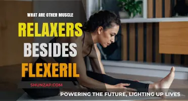 Exploring Muscle Relaxers: Alternatives to Flexeril for Pain Relief