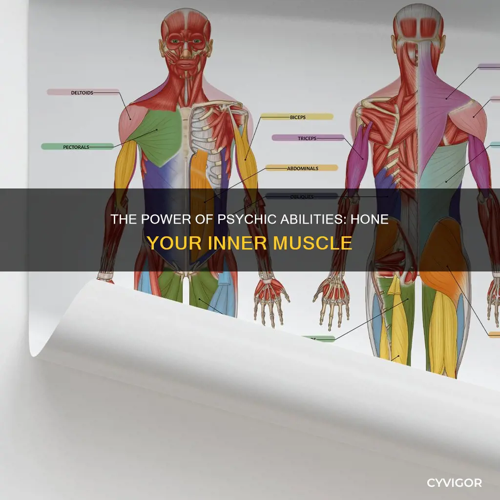what are psychic h muscles