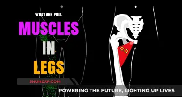 Understanding Pulled Leg Muscles: Causes, Symptoms, and Recovery Tips