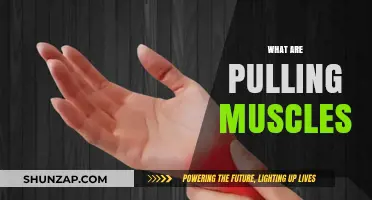 Understanding Muscle Strains: Causes, Symptoms, and Effective Recovery Tips