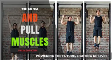 Understanding Push and Pull Muscles: Essential Guide for Balanced Strength Training