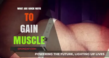 Effective Muscle-Building Strategies: Quick Ways to Gain Muscle Fast