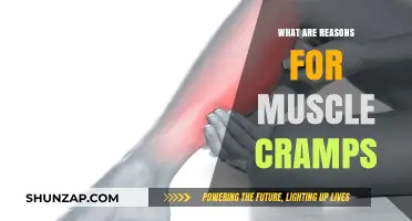 Unraveling the Mystery: Common Causes of Muscle Cramps Explained