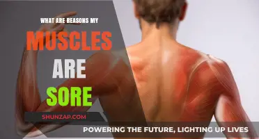 Why Your Muscles Ache: Uncovering Common Causes of Soreness