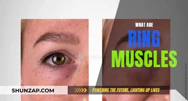 The Importance of Ring Muscles in Fitness