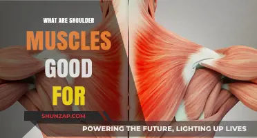 Unlocking Strength: The Power and Purpose of Shoulder Muscles