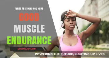 Building Stamina: Recognizing the Signs of Good Muscle Endurance