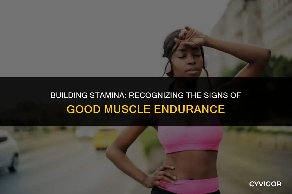 what are signs you have good muscle endurance