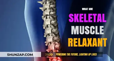 Understanding Skeletal Muscle Relaxants: Uses, Benefits, and Side Effects