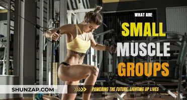 Understanding Small Muscle Groups: Functions, Importance, and Effective Training Tips