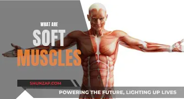 Soft Muscles: The Key to Physical Fitness