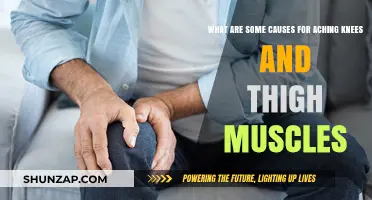 Knee and Thigh Pain: Causes and Solutions